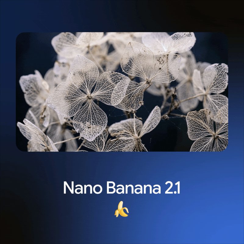 꽃 이미지와 Nano Banana2.1 문구를 담은 Google 공식 발표 GIF 표지